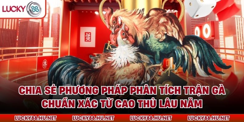 Chia sẻ phương pháp phân tích trận gà chuẩn xác từ cao thủ lâu năm