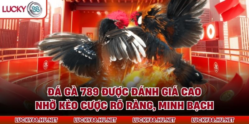 Đá gà 789 được đánh giá cao nhờ kèo cược rõ ràng, minh bạch