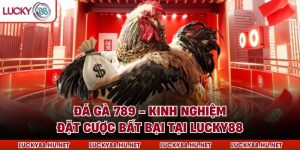 Đá Gà 789 - Kinh Nghiệm Đặt Cược Bất Bại Tại Lucky88