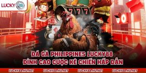 Đá Gà Philippines Lucky88 - Đỉnh Cao Cược Kê Chiến Hấp Dẫn