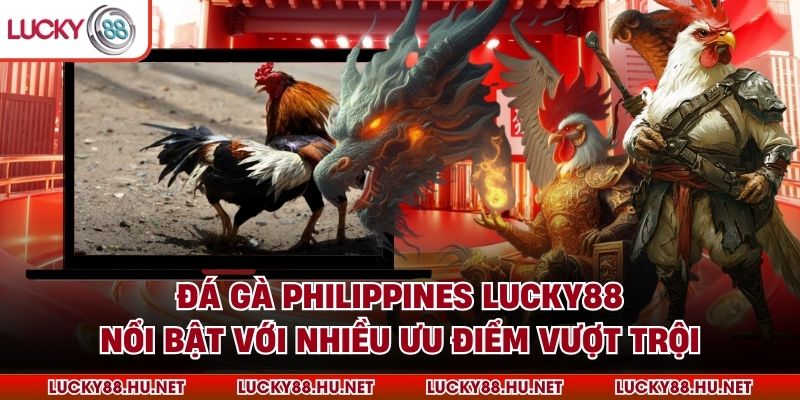 Đá gà Philippines Lucky88 nổi bật với nhiều ưu điểm vượt trội