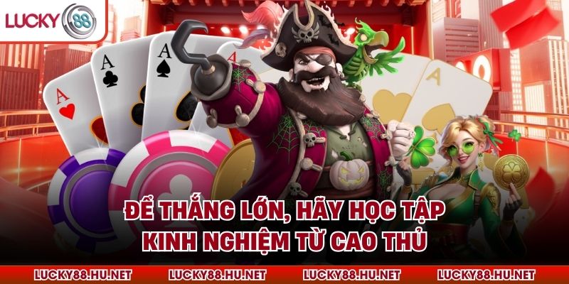 Để thắng lớn, hãy học tập kinh nghiệm từ cao thủ