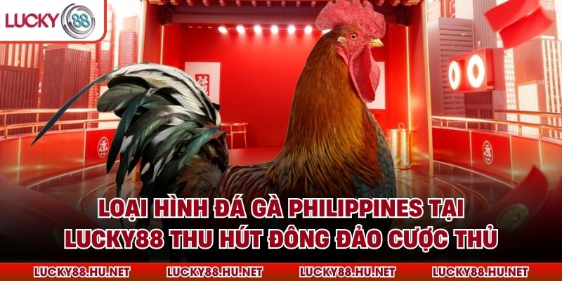 Loại hình đá gà Philippines tại Lucky88 thu hút đông đảo cược thủ