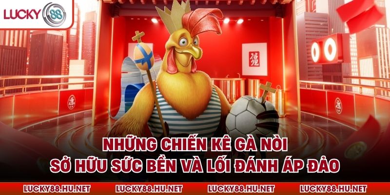 Những chiến kê gà nòi sở hữu sức bền và lối đánh áp đảo