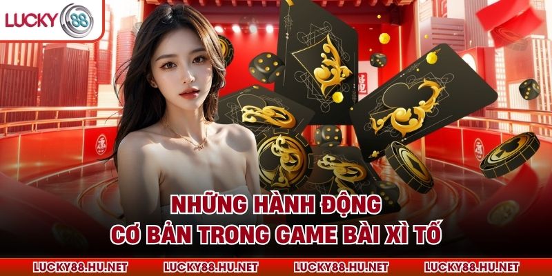 Những hành động cơ bản trong game bài xì tố