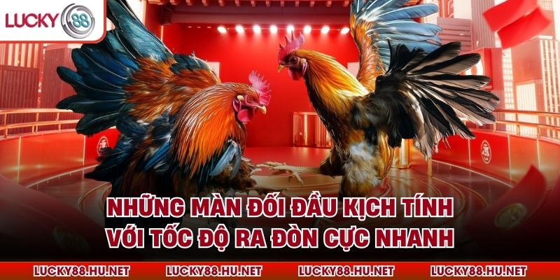 Những màn đối đầu kịch tính với tốc độ ra đòn cực nhanh