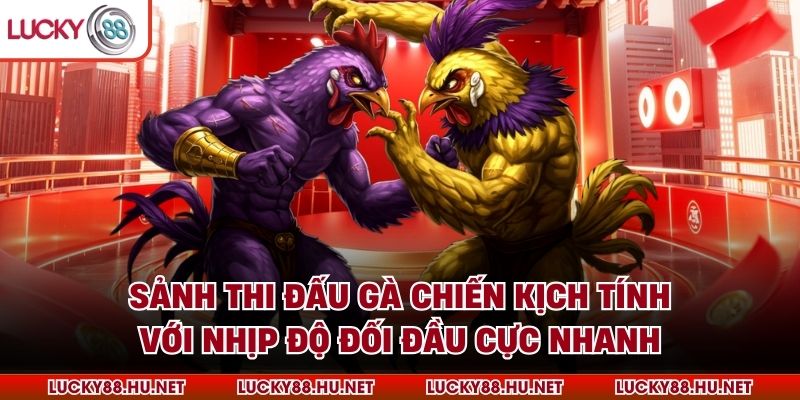 Sảnh thi đấu gà chiến kịch tính với nhịp độ đối đầu cực nhanh