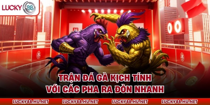 Trận đá gà kịch tính với các pha ra đòn nhanh